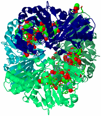 Image Biol. Unit 1 - sites