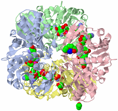 Image Biological Unit 2