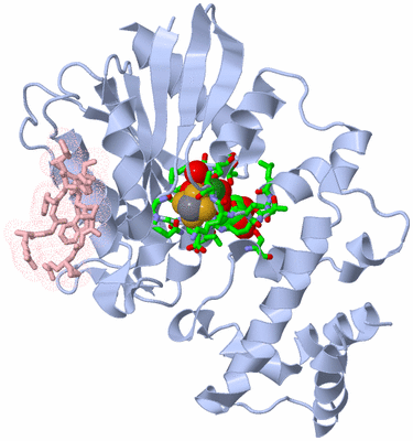 Image Biol. Unit 1 - sites