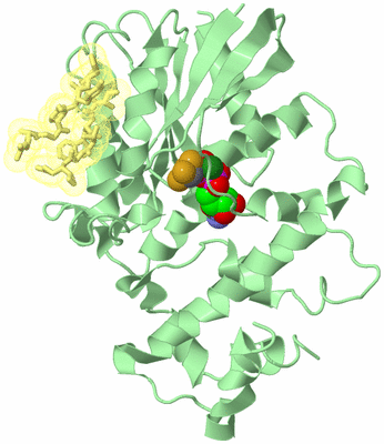 Image Biological Unit 2