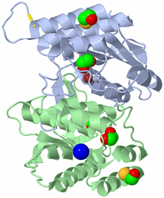 Image Asym./Biol. Unit