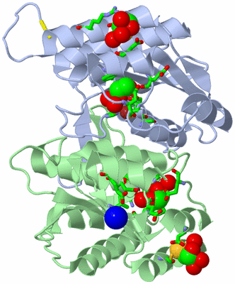 Image Asym./Biol. Unit - sites