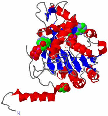 Image Asym./Biol. Unit