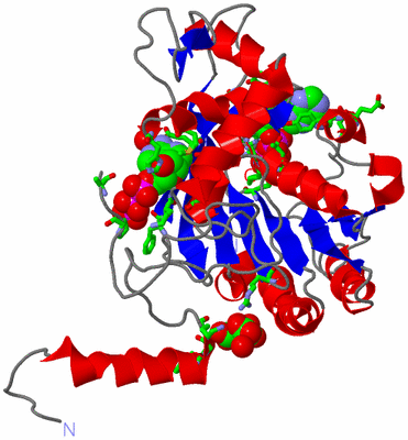 Image Asym./Biol. Unit - sites