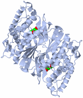 Image Biological Unit 1