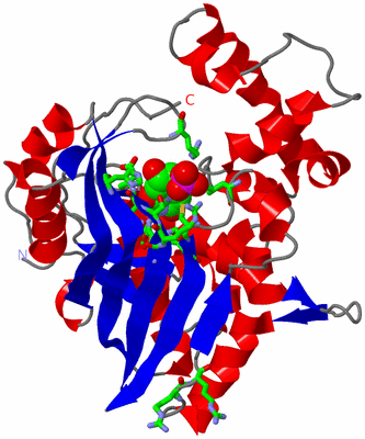 Image Asym. Unit - sites