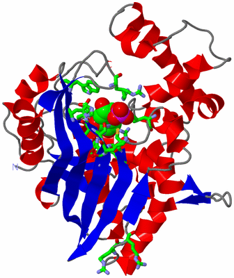 Image Asym. Unit - sites