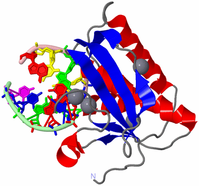 Image Asym./Biol. Unit