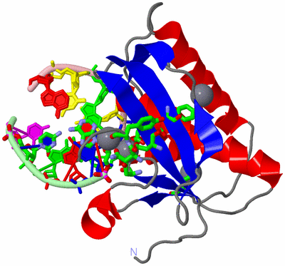 Image Asym./Biol. Unit - sites