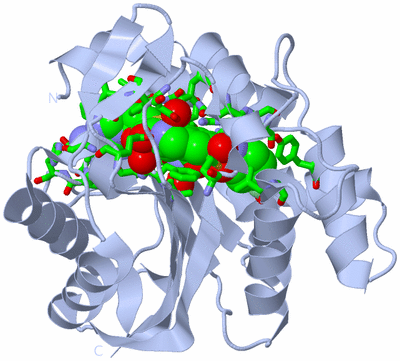 Image Biol. Unit 1 - sites