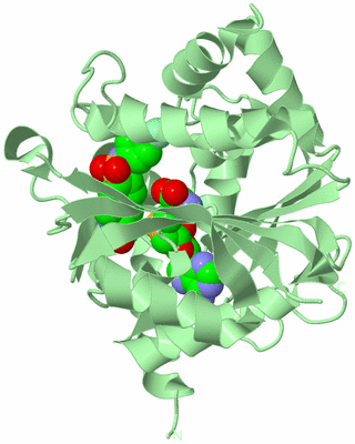 Image Biological Unit 2