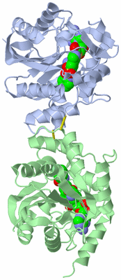 Image Biological Unit 3