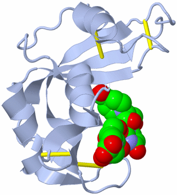 Image Biological Unit 1