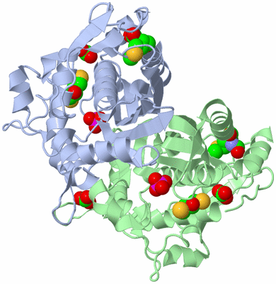 Image Asym./Biol. Unit