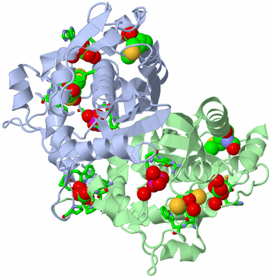 Image Asym./Biol. Unit - sites