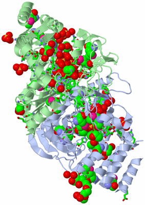 Image Asym./Biol. Unit - sites