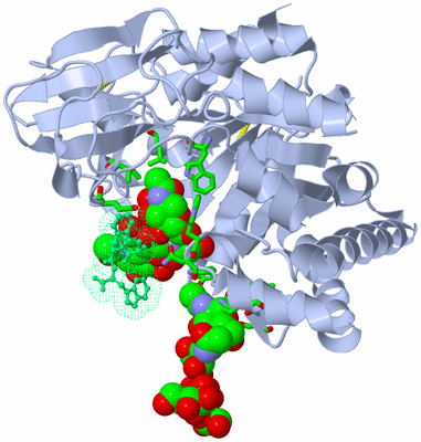 Image Asym./Biol. Unit - sites