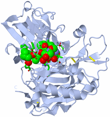 Image Biol. Unit 1 - sites