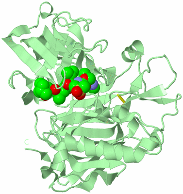 Image Biological Unit 2