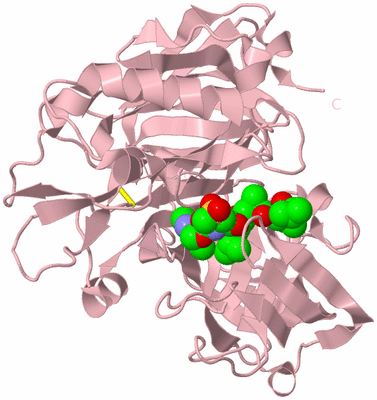 Image Biological Unit 3
