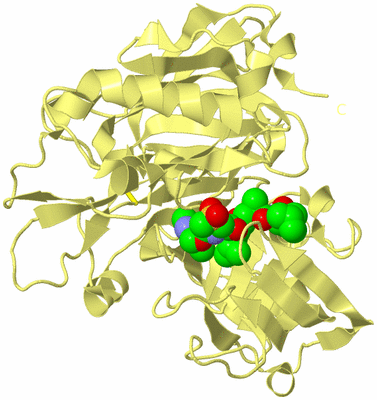 Image Biological Unit 4