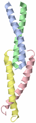 Image NMR Structure - model 1