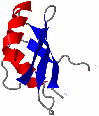 Image NMR Structure - model 1