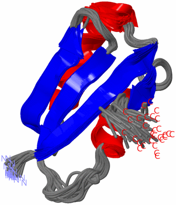 Image NMR Structure - all models