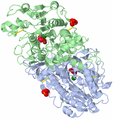 Image Asym./Biol. Unit