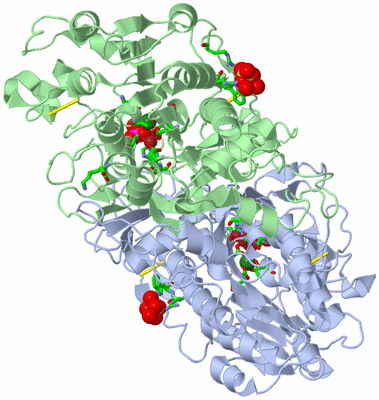 Image Asym./Biol. Unit - sites