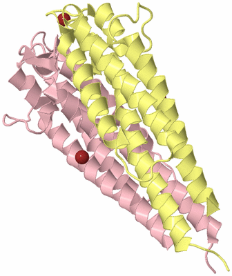 Image Biological Unit 2