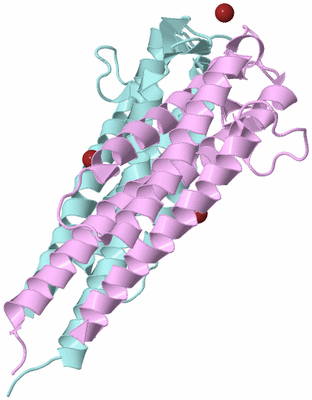 Image Biological Unit 3