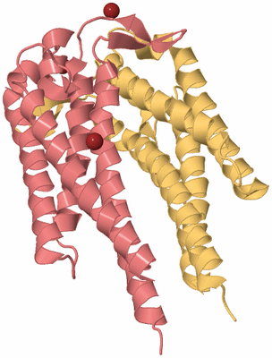 Image Biological Unit 4