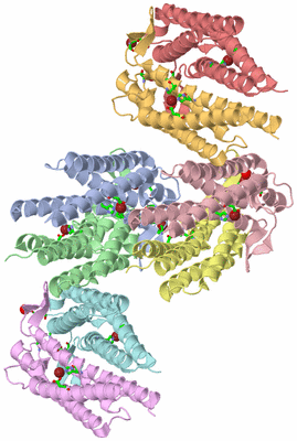Image Asym. Unit - sites