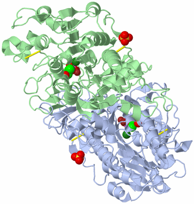 Image Asym./Biol. Unit