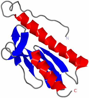 Image NMR Structure - model 1