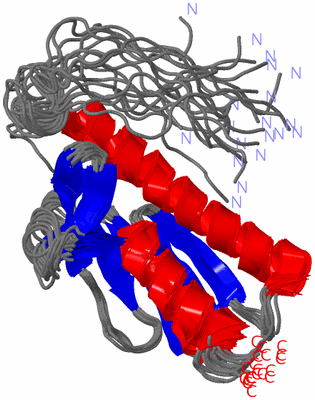 Image NMR Structure - all models