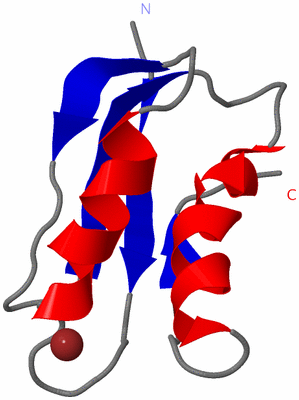 Image NMR Structure - model 1