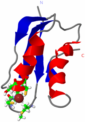 Image NMR Structure - model 1, sites