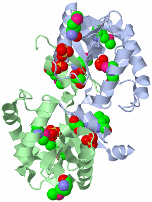 Image Asym./Biol. Unit