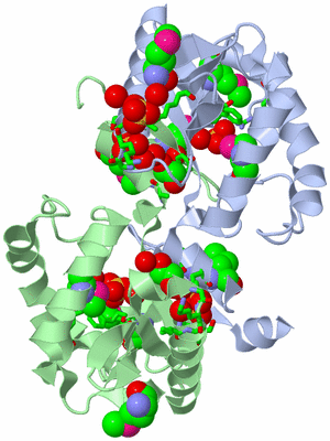 Image Asym./Biol. Unit - sites