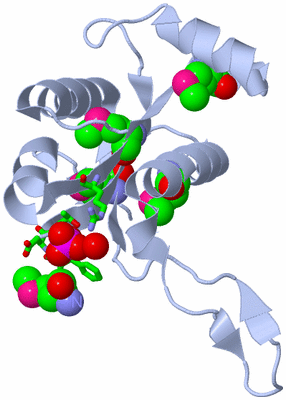 Image Biol. Unit 1 - sites