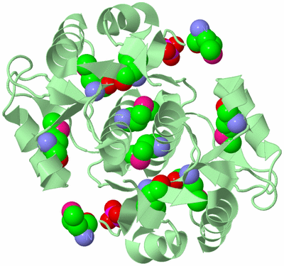 Image Biological Unit 3