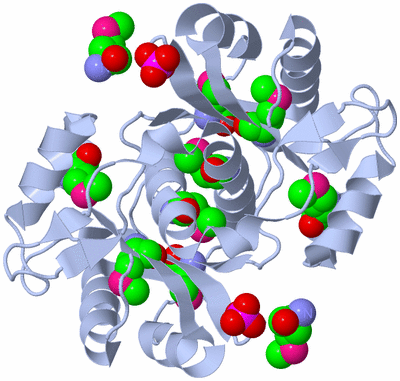 Image Biological Unit 4