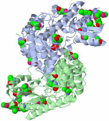 Image Biological Unit 1