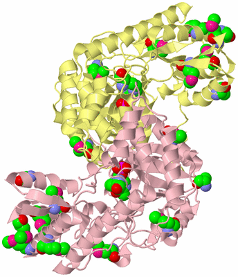 Image Biological Unit 2