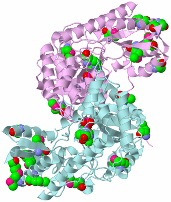 Image Biological Unit 3