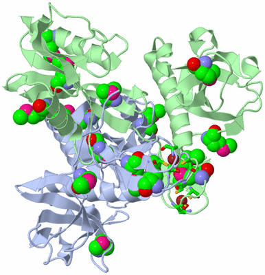 Image Asym./Biol. Unit - sites