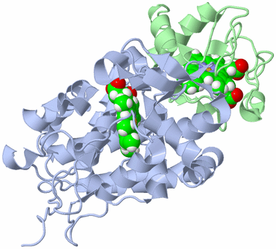 Image NMR Structure - model 1