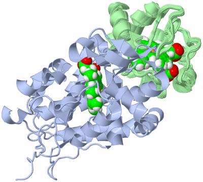 Image NMR Structure - all models